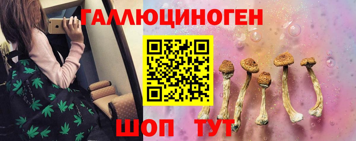 Галлюциногенные грибы ЛСД  Псилоцибиновые грибы ЛСД  Геленджик  Вход с VPN 