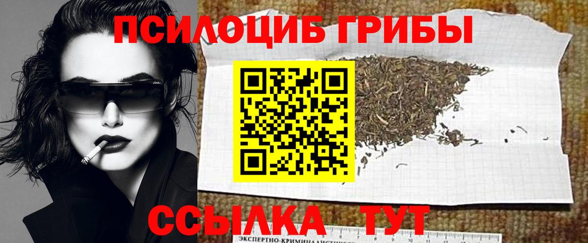 Псилоцибиновые грибы мухоморы Геленджик